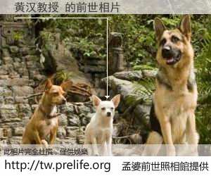 黄汉教授 的前世相片