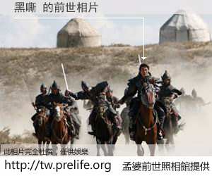 黑嘶 的前世相片