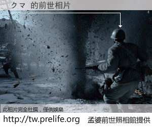 クマ 的前世相片