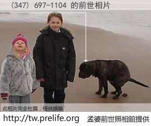(347) 697-1104 的前世相片