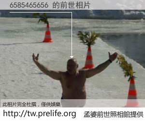 6585465656 的前世相片