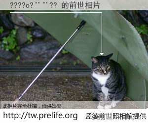 ????o?¨¨?? çš„å‰ä¸–相片