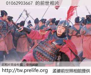 01062903667 的前世相片