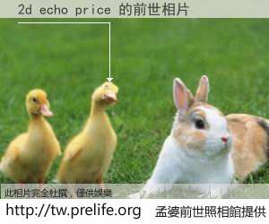 2d echo price 的前世相片