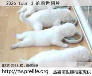 2026 tour d 的前世相片