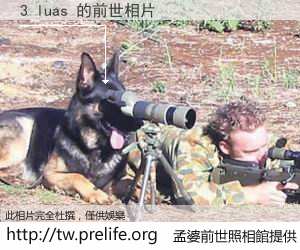 3 luas 的前世相片