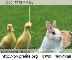 4050 的前世相片