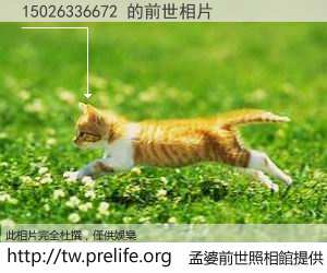 15026336672 的前世相片