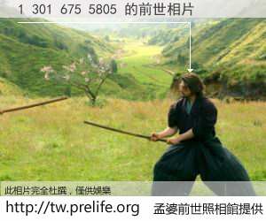 1 301 675 5805 的前世相片