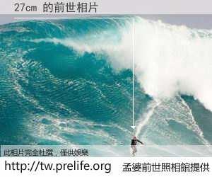 27cm 的前世相片