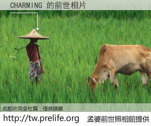 CHARMING 的前世相片