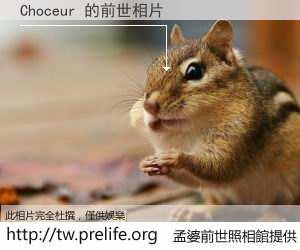 Choceur 的前世相片
