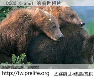 DOCO transl 的前世相片