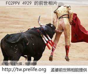 FC2PPV 4929 的前世相片