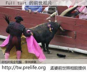 Full tuit 的前世相片