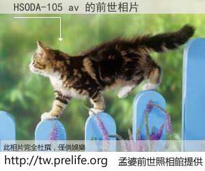 HSODA-105 av 的前世相片