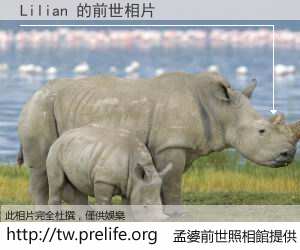 Lilian 的前世相片