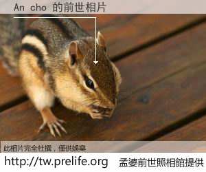 An cho 的前世相片