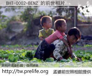 BHT-0002-BENZ 的前世相片