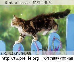 Bint el sudan 的前世相片