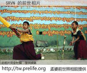 SRVN 的前世相片