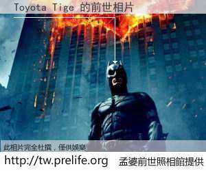 Toyota Tige 的前世相片