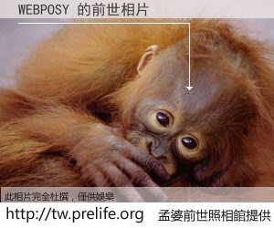 WEBPOSY 的前世相片
