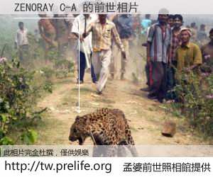 ZENORAY C-A 的前世相片