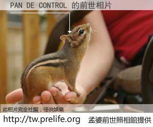 PAN DE CONTROL 的前世相片