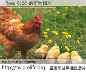 Roma 8:26 的前世相片