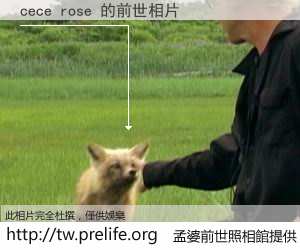 cece rose 的前世相片