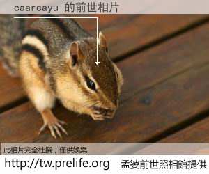 caarcayu 的前世相片