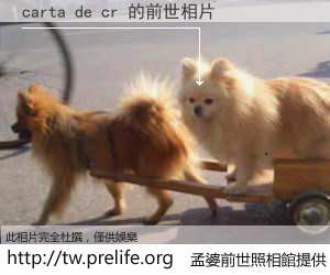 carta de cr 的前世相片