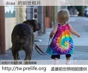 dcaa 的前世相片