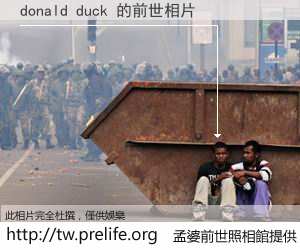 donald duck 的前世相片