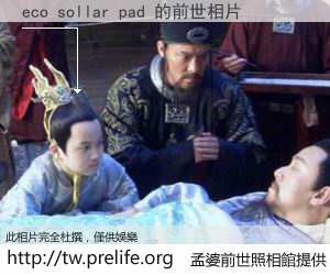 eco sollar pad 的前世相片