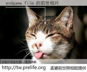 endgame film 的前世相片