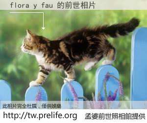 flora y fau 的前世相片