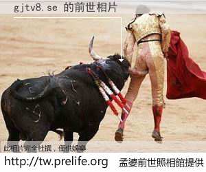 gjtv8.se 的前世相片