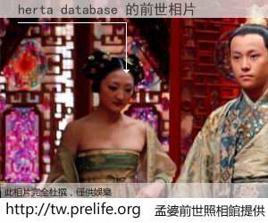 herta database 的前世相片