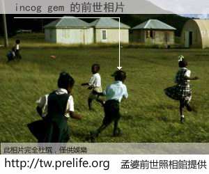 incog gem 的前世相片