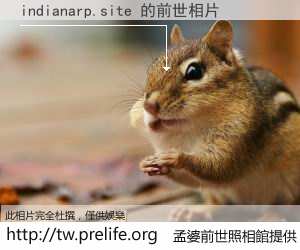indianarp.site 的前世相片