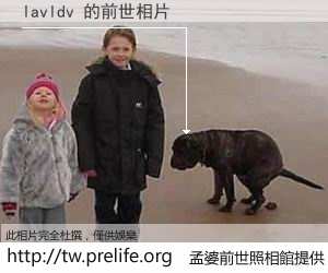 lavldv 的前世相片