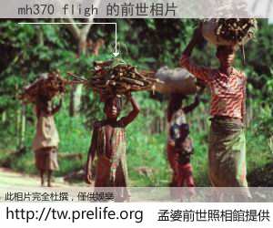 mh370 fligh 的前世相片