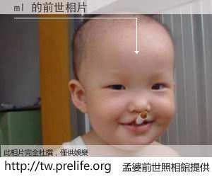 ml 的前世相片