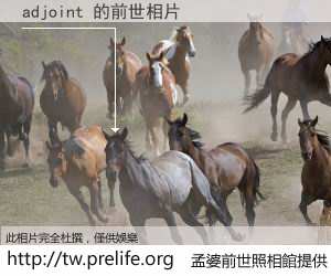 adjoint 的前世相片