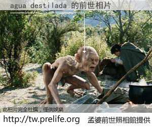 agua destilada 的前世相片