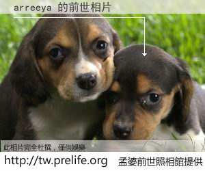 arreeya 的前世相片