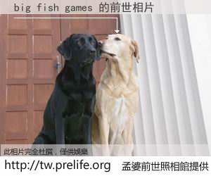 big fish games 的前世相片