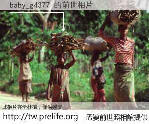 baby_g4377 的前世相片
